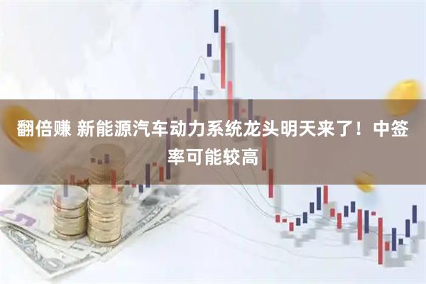 翻倍赚 新能源汽车动力系统龙头明天来了！中签率可能较高