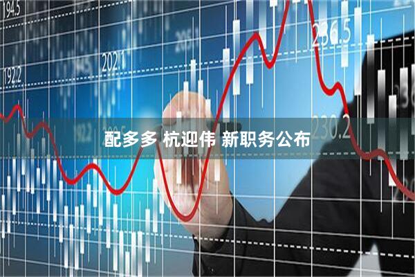 配多多 杭迎伟 新职务公布