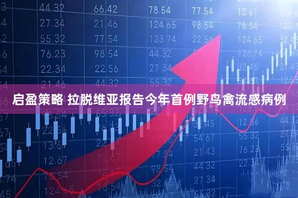 启盈策略 拉脱维亚报告今年首例野鸟禽流感病例