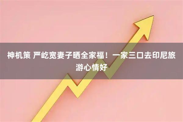 神机策 严屹宽妻子晒全家福！一家三口去印尼旅游心情好