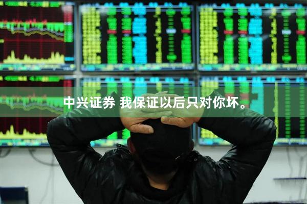 中兴证券 我保证以后只对你坏。